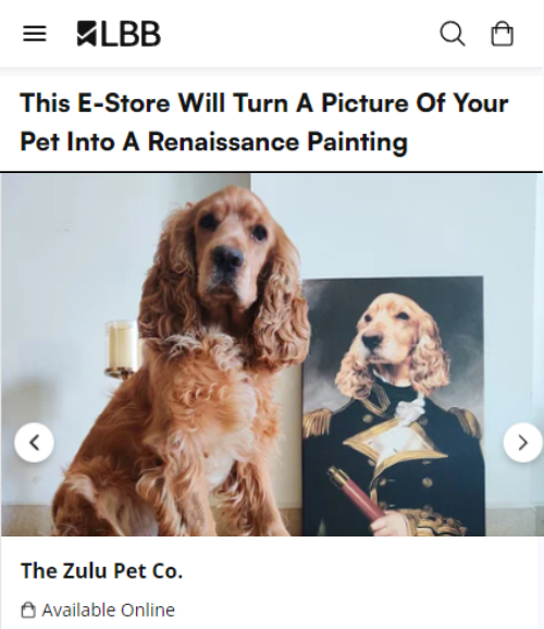 Pranil Shah's Case Study 7: LBB x Zulupets
